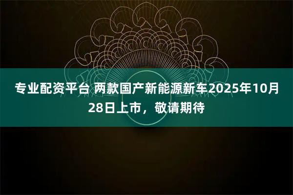 专业配资平台 两款国产新能源新车2025年10月28日上市，敬请期待