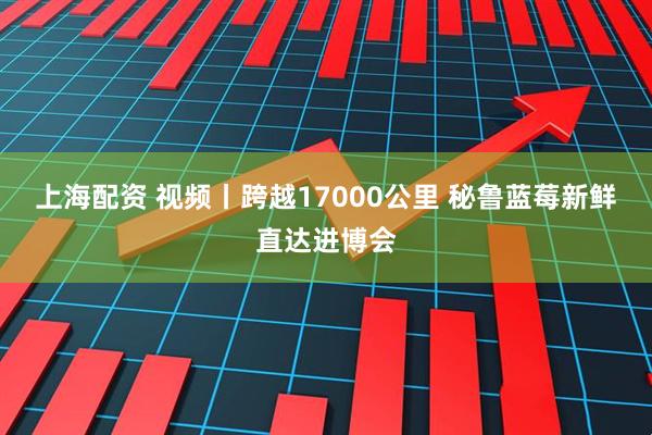 上海配资 视频丨跨越17000公里 秘鲁蓝莓新鲜直达进博会