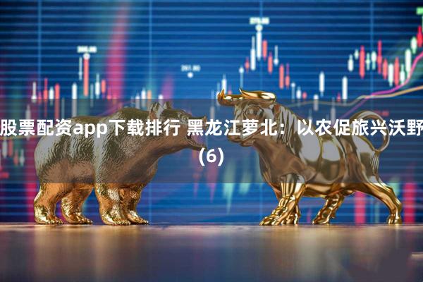 股票配资app下载排行 黑龙江萝北：以农促旅兴沃野(6)